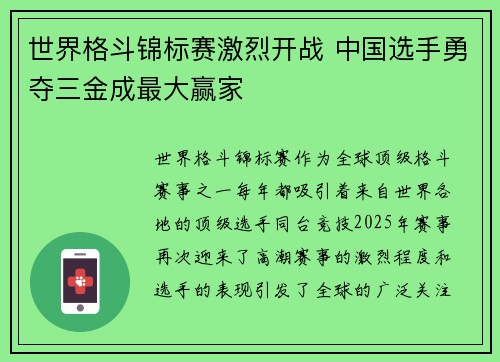 世界格斗锦标赛激烈开战 中国选手勇夺三金成最大赢家